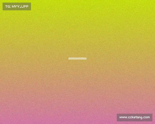 激情碰撞：网球赛事背后的故事
