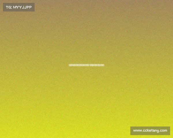 金塞拉:巴黎重启扎巴尔尼谈判 热刺密切关注局势动态