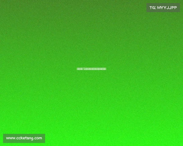 英雄联盟S赛装备选择解析与策略优化指南