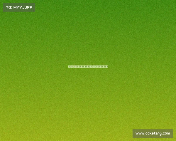 英超比赛卡片：深入解析赛季精彩瞬间与球员表现的全新视角