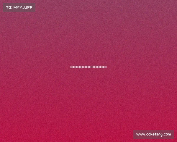 金塞拉：巴黎重启扎巴尔尼谈判 热刺密切关注局势动态